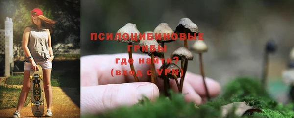 амф Беломорск