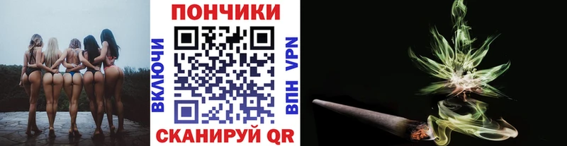 Конопля Bruce Banner  наркотики  ссылка на мегу ссылка  Енисейск 